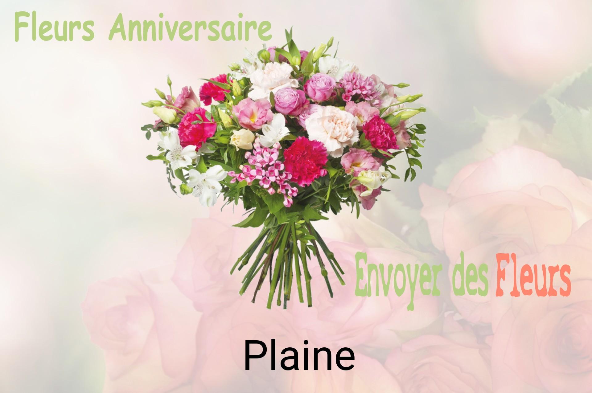 Bouquet de fleurs d’anniversaire livré à Plaine