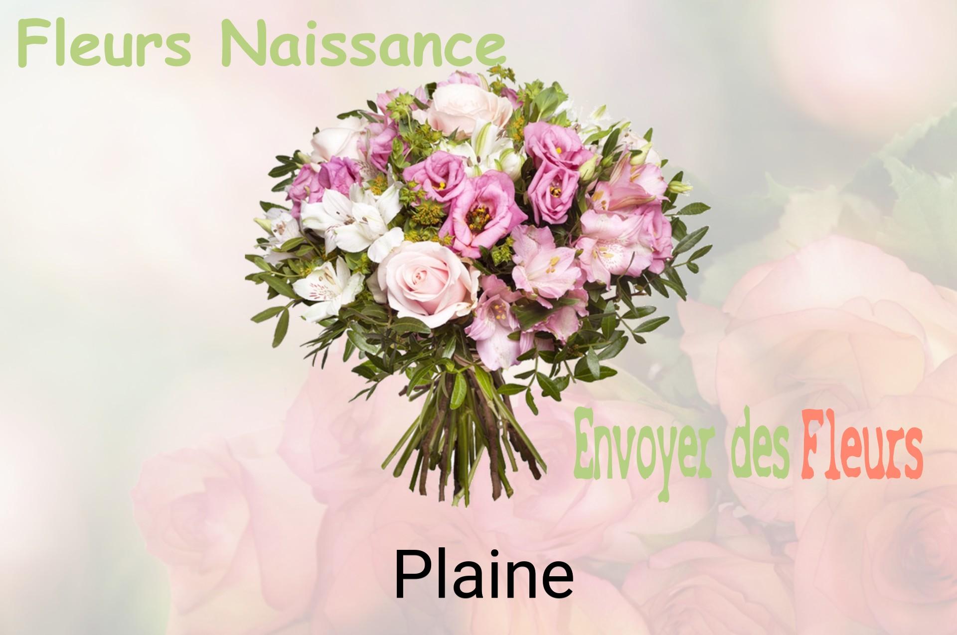 Bouquet de fleurs de naissance livré à Plaine
