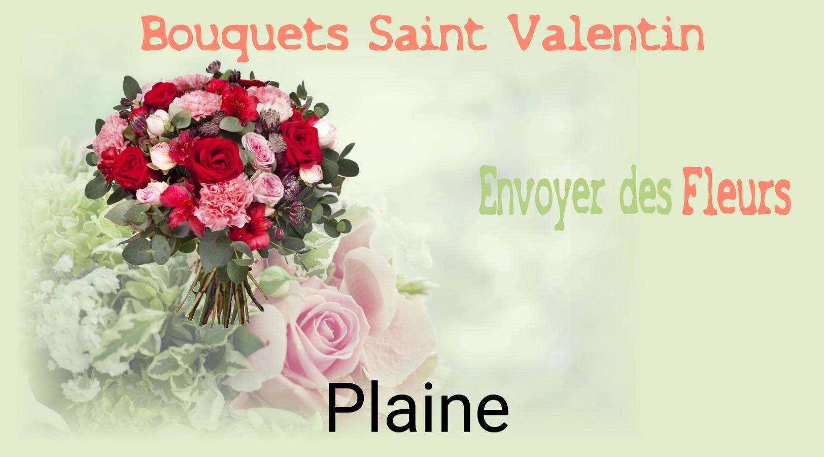 Roses de Saint-Valentin livrées à Plaine