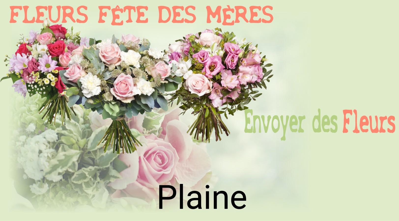 Bouquet de Fête des Mères livré à Plaine